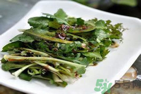 寶寶可以吃苦菜嗎？寶寶多大可以吃苦菜？