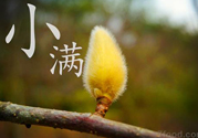 小滿名字的由來？小滿是什么意思？