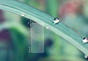 為什么小滿濕氣重？小滿怎么除濕氣？