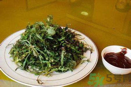 胃不好可以吃苦菜嗎？胃不好吃苦菜好嗎？