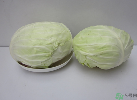 包菜榨汁要加水嗎？包菜汁怎么做？