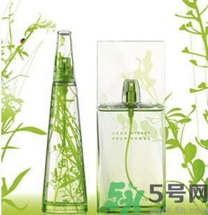 蚊子叮的包過幾天又癢是為什么？蚊子叮的包過幾天又癢怎么辦？
