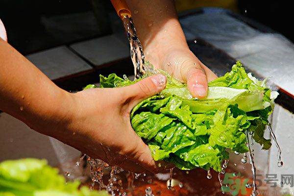 生菜生吃會有寄生蟲嗎？生菜生吃會長寄生蟲嗎？