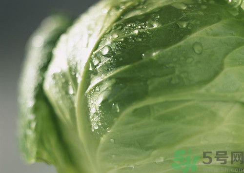 包菜可以煮湯嗎?包菜煮湯的方法