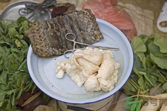夏天吃蛇肉可以清火嗎？夏天吃蛇肉可以降火嗎？