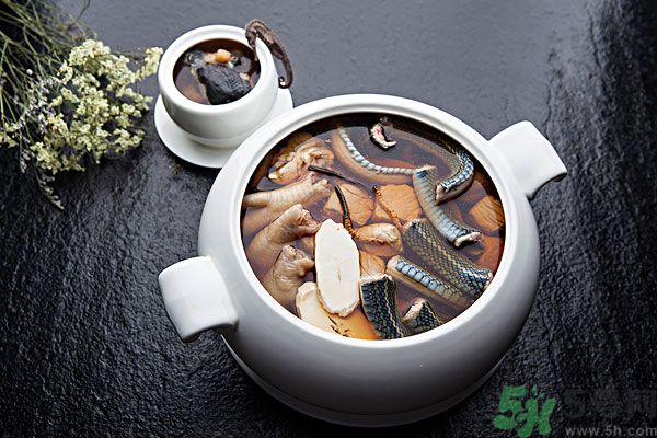 蛇肉是涼性嗎？蛇肉是涼性還是熱性？