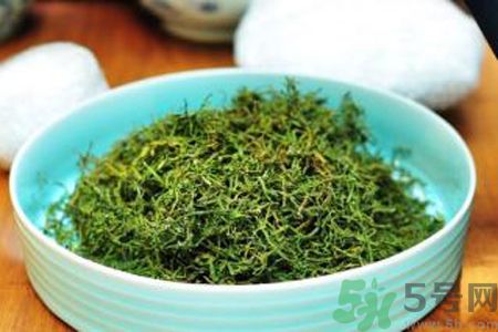 苦菜茶可以和綠茶一起喝嗎？苦菜茶可以和其他茶一起喝嗎？