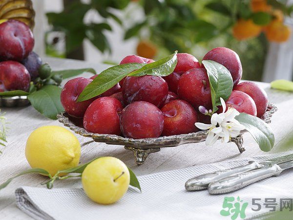 為什么說李子樹下埋死人？李子的食用禁忌有哪些？