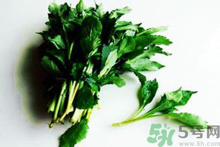 苦菜可以和蔥一起吃嗎？苦菜和蔥一起吃會(huì)怎樣？