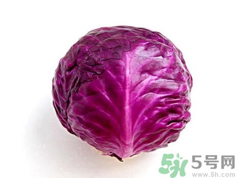 紫甘藍是發物嗎?紫甘藍是不是發物? 紫甘藍是發物嗎?紫甘藍是不是發物?