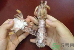 剝蝦神器怎么用？剝蝦神器在哪里買(mǎi)？