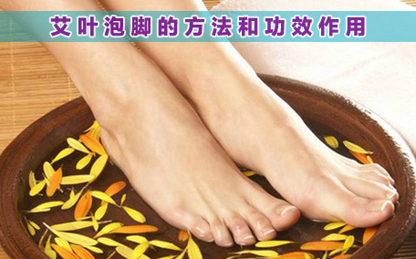 艾葉洗頭可以治療脫發嗎 艾葉洗頭的功效與作用