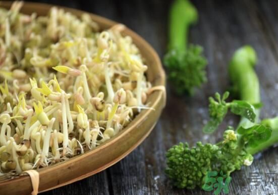 怎樣自己發(fā)綠豆芽？綠豆芽怎樣自己發(fā)？