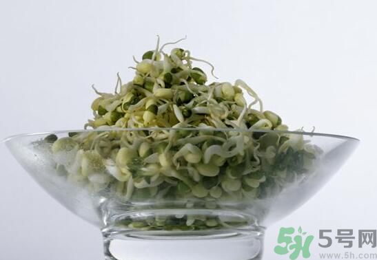 怎樣自己發綠豆芽？綠豆芽怎樣自己發？