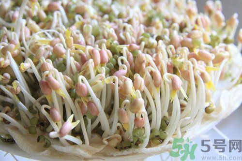 吃毛豆可以減肥嗎？吃毛豆有減肥作用嗎？