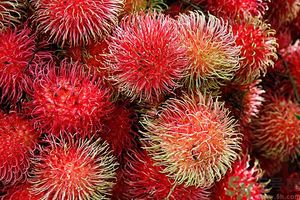 吃紅毛丹上火嗎？吃紅毛丹上火怎么辦？
