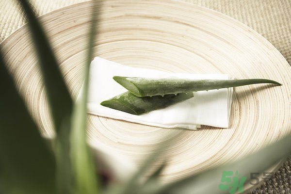 蘆薈可以吃嗎？蘆薈怎么吃？