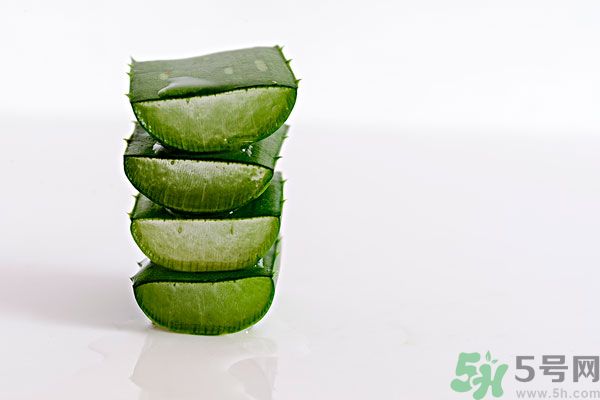 蘆薈是發(fā)物嗎？蘆薈是不是發(fā)物？