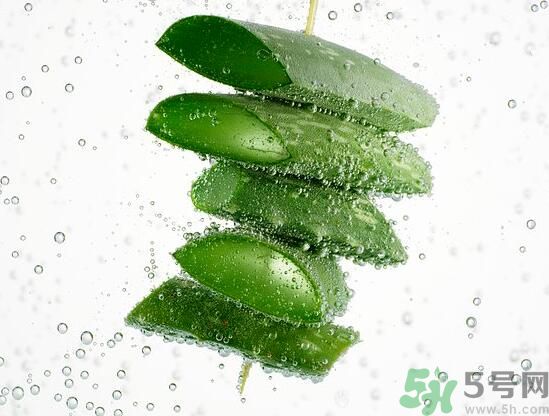 男性可以吃蘆薈嗎？男性吃蘆薈好不好？