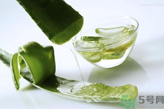 蘆薈酒有什么功效？蘆薈酒的功效是什么？