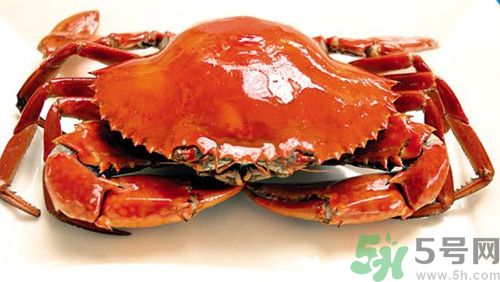 螃蟹是什么季節吃的？吃螃蟹的季節是幾月份