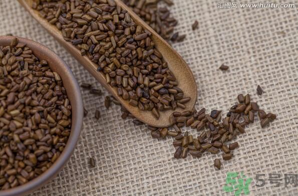 決明子泡茶喝可以減肥嗎？決明子泡茶喝有減肥效果嗎？