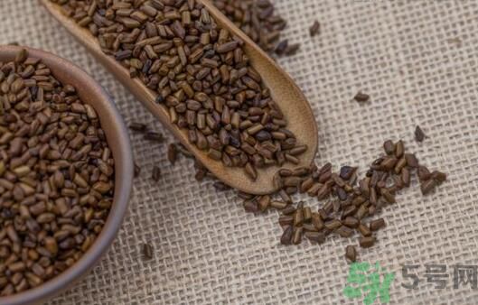 決明子泡茶加什么好？決明子和什么一起泡好？