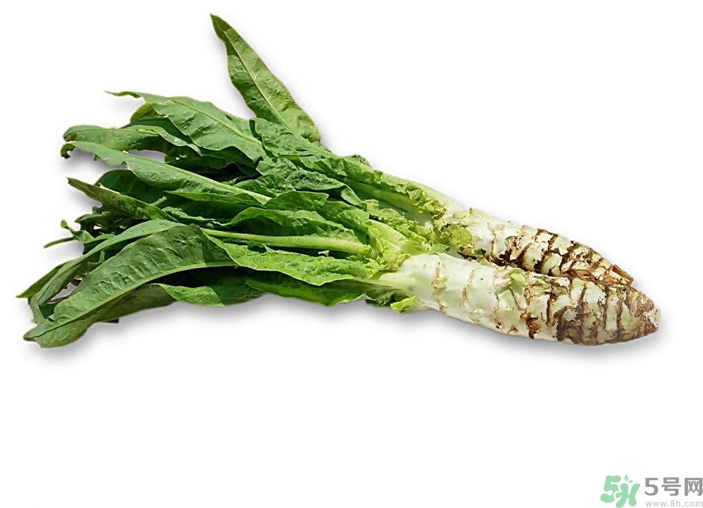 新鮮的萵筍怎么保存？削皮的萵筍怎么保存？
