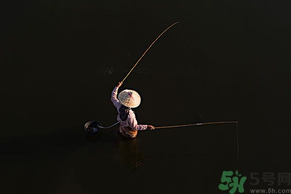雷陣雨可以釣魚嗎？雷陣雨天氣適合釣魚嗎？