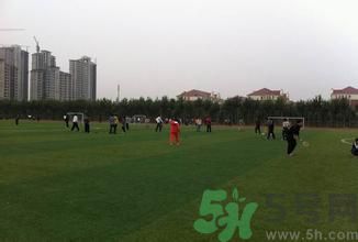 晚自習后跑步好嗎？下晚自習吃什么比較好？