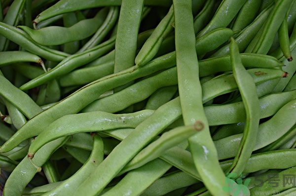 四季豆沒炒熟有毒嗎？四季豆沒熟吃了會怎樣？