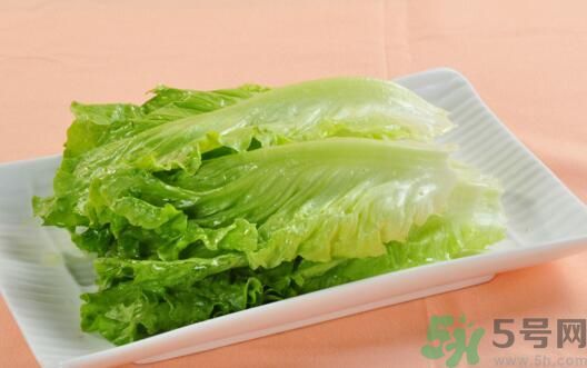 生菜會引起過敏嗎？吃生菜會過敏嗎？