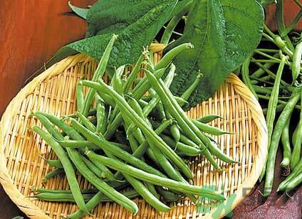 四季豆可以和冬瓜一起吃嗎？四季豆可以和冬瓜一起炒嗎？