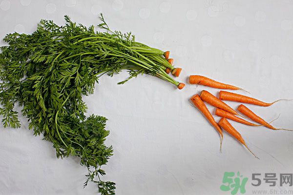 吃西瓜能防曬嗎？吃巧克力能紫外線嗎？