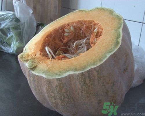 南瓜發芽了可以吃嗎?發芽的南瓜吃了會怎么樣