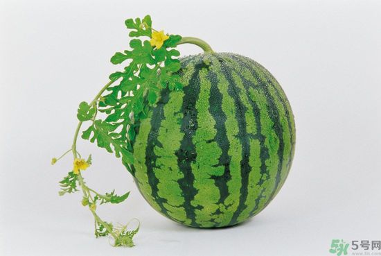 西瓜怎么挑熟的甜的？西瓜的儲存方法？