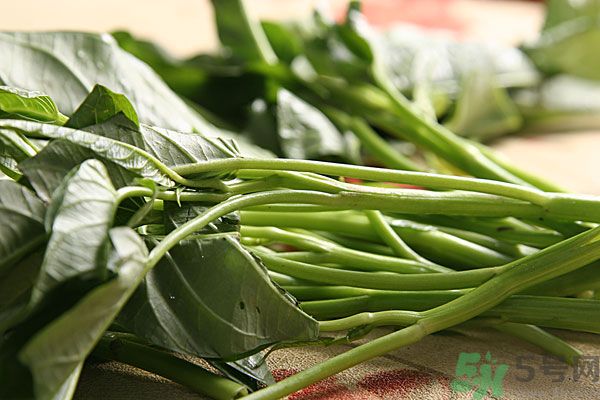 空心菜是菠菜嗎？空心菜是不是菠菜？