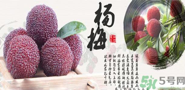 吃楊梅可以防止中暑嗎？中暑可以吃楊梅嗎？