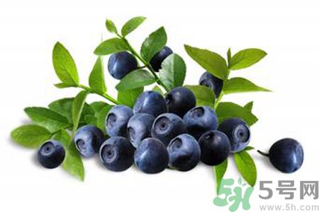 藍莓是不是發物？藍莓是發物嗎？