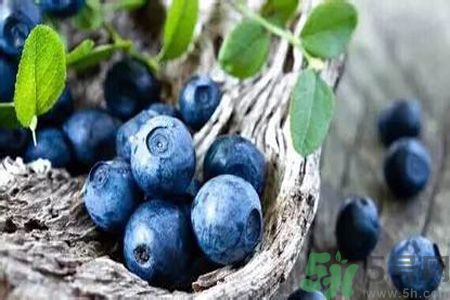 月經期間可以吃藍莓嗎？來月經可以吃藍莓嗎？