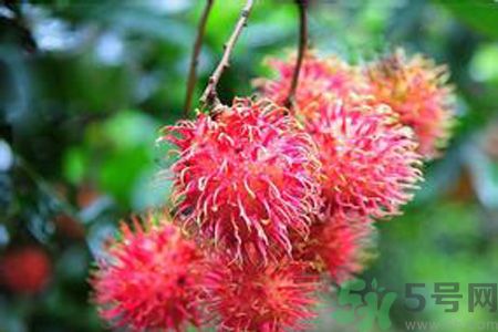 寶寶可以吃紅毛丹嗎？寶寶多大了可以吃紅毛丹？