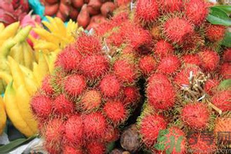 寶寶可以吃紅毛丹嗎？寶寶多大了可以吃紅毛丹？