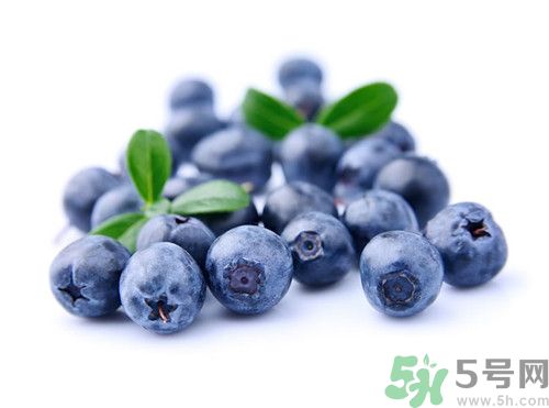 藍莓什么季節成熟?藍莓成熟是什么顏色