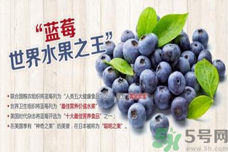 衣服上面染上了藍莓汁怎么辦？藍莓漬怎么清洗？