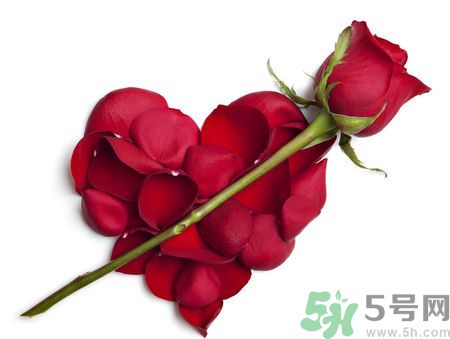 父親節(jié)送什么花好？父親節(jié)送什么花？