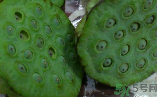 吃蓮蓬可以退燒嗎?蓮蓬能治發燒嗎?