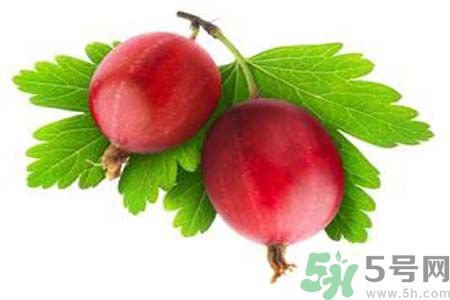 高血壓可以吃無花果嗎？無花果可以降血壓嗎？