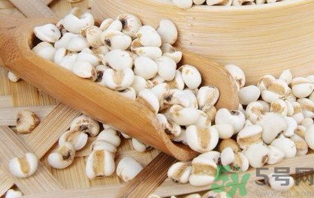薏米是發物嗎?薏米是不是發物?