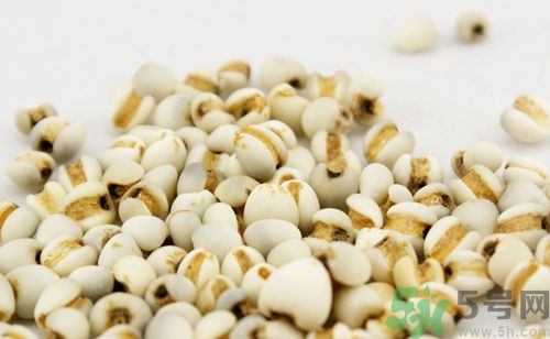 薏米是發物嗎?薏米是不是發物?