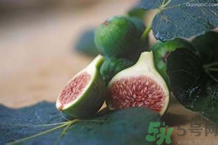 無花果沒熟可以吃嗎？吃了沒熟的無花果會怎樣？